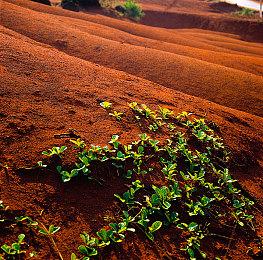 融入JRPG元素的种田新游《希望物语》Steam开启抢先测试